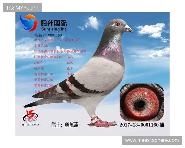 AG国际地址登录入口常见问题解答，解决你的登录困扰和疑问